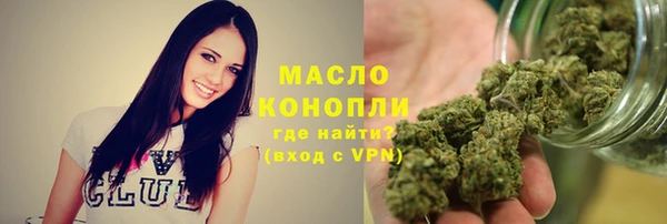 индика Беломорск
