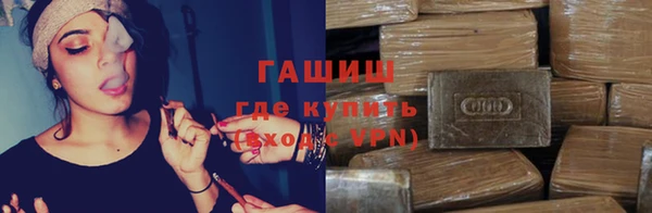 индика Беломорск