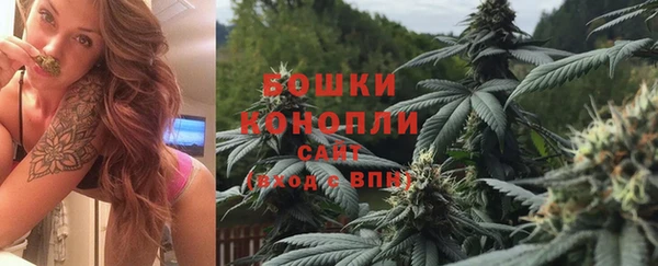 ПСИЛОЦИБИНОВЫЕ ГРИБЫ Новый Уренгой