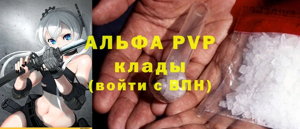 индика Беломорск
