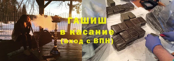 индика Беломорск