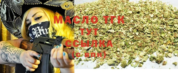 индика Беломорск