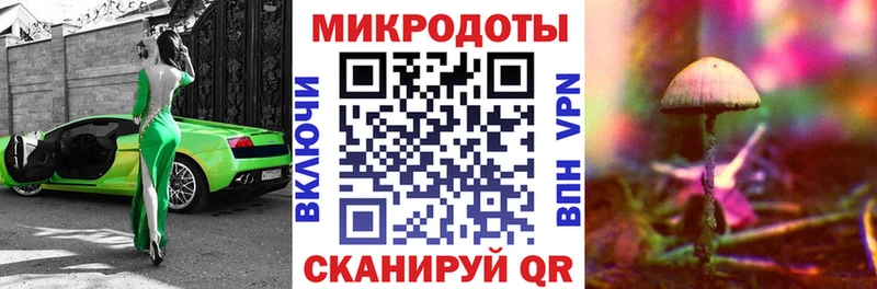 Галлюциногенные грибы Psilocybe  продажа наркотиков  Бокситогорск 