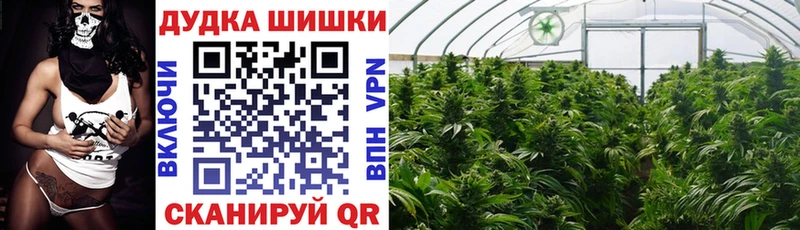 omg как войти  Бокситогорск  Шишки марихуана SATIVA & INDICA 